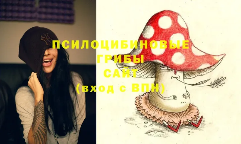 закладки  Отрадная  Псилоцибиновые грибы Magic Shrooms 